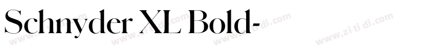 Schnyder XL Bold字体转换 Schnyder XL Bold字体转换